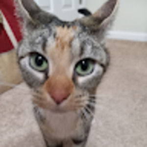 Meet your Posher, Trinity